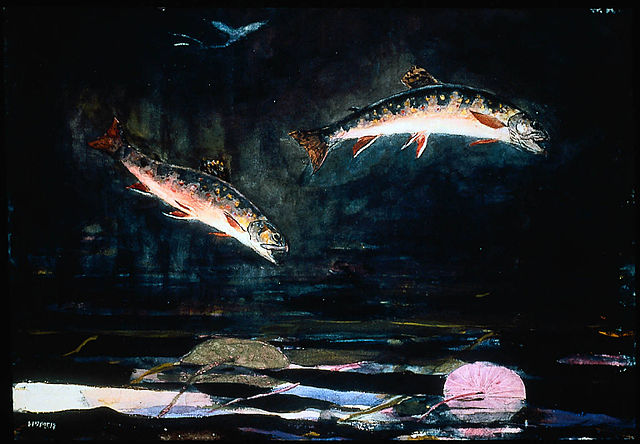 640px-Winslow_Homer_-_Leaping_Trout_(1892)