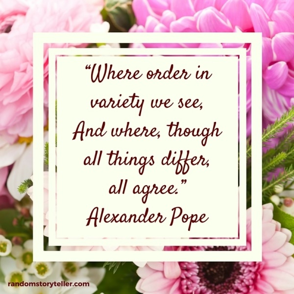Alexander-Pope-quote-randomstoryteller